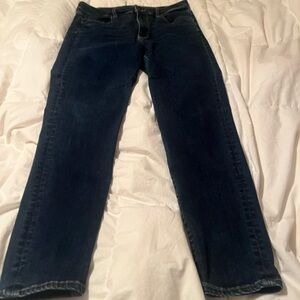 American Eagle Outfitters Women's Navy Skinny Jeans